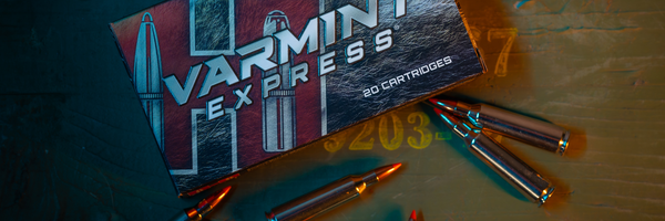 Caliber of the Month: The .22-250 Remington